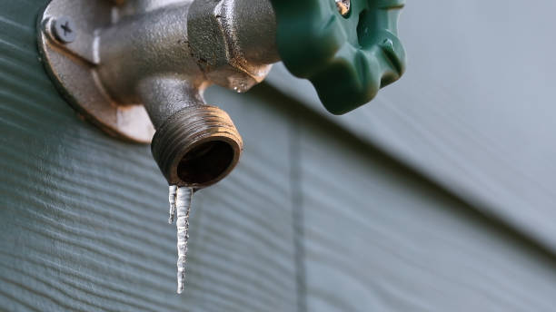 Best Local Plumber Services  in Moscow, ID
